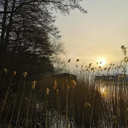 船上ホテル Hausboot-urlaub24 De - Muritz, Festliegend Mit Sauna - Beiboot Buchbar Buchholz